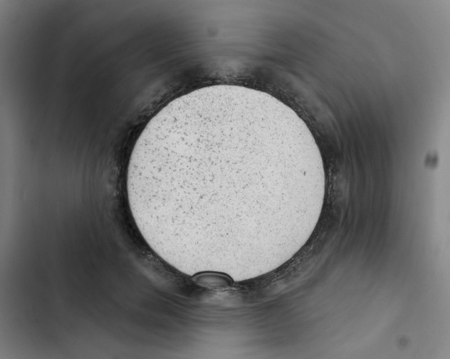 X0000102830750200809151039