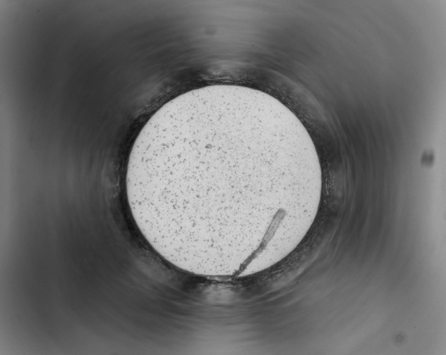 X0000102830751200809151039