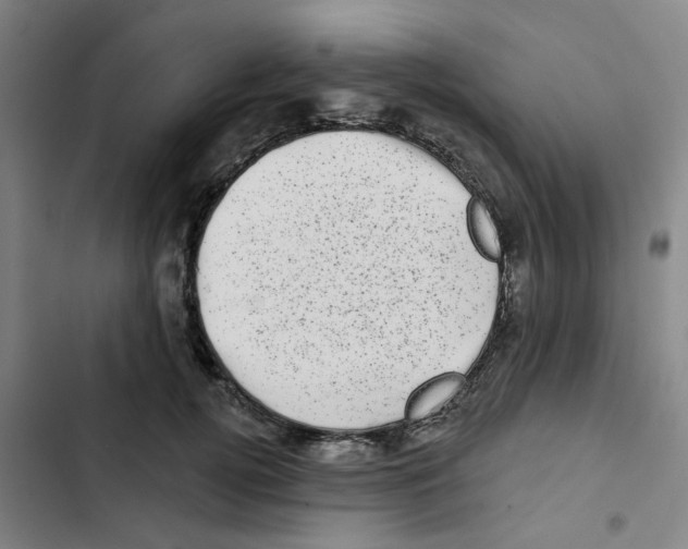 X0000102830752200809151039