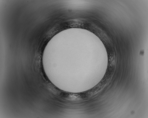 X0000102830753200809151039