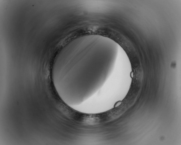 X0000102830754200809151039