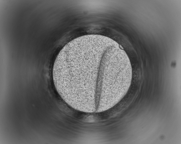 X0000102830755200809151039