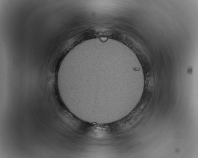 X0000102830756200809151039