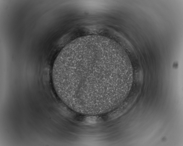 X0000102830757200809151039