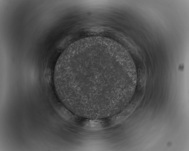 X0000102830758200809151039