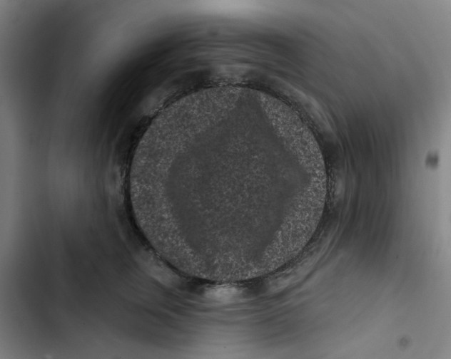 X0000102830759200809151039