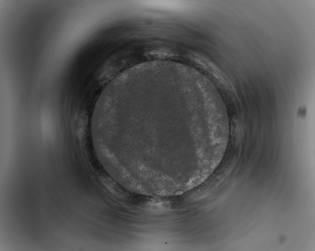 X0000102830760200809151039