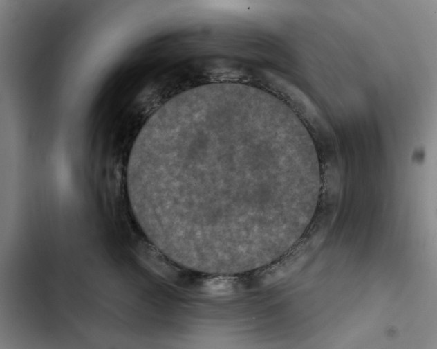 X0000102830761200809151039