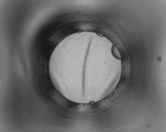 X0000102830762200809151039
