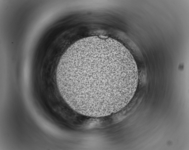 X0000102830764200809151039
