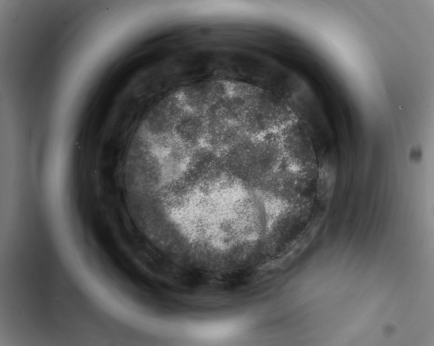 X0000102830765200809151039