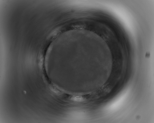 X0000102830767200809151039