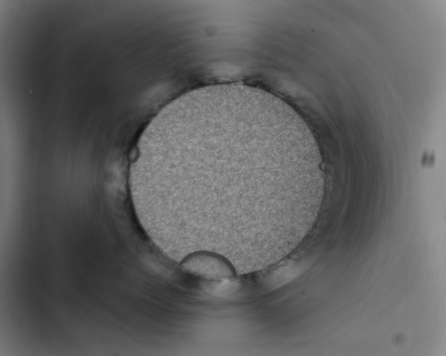X0000102830768200809151039
