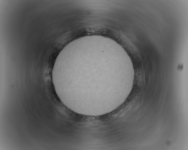 X0000102830770200809151039