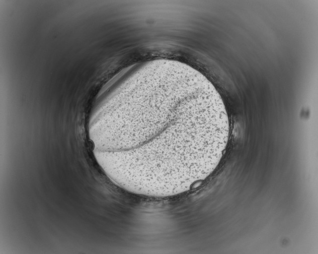 X0000102830771200809151039