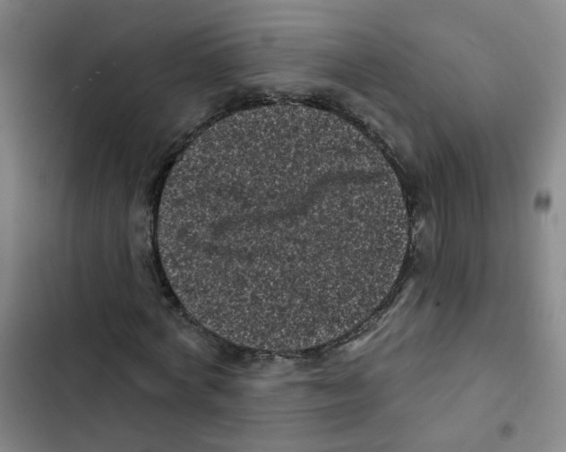 X0000102830772200809151039