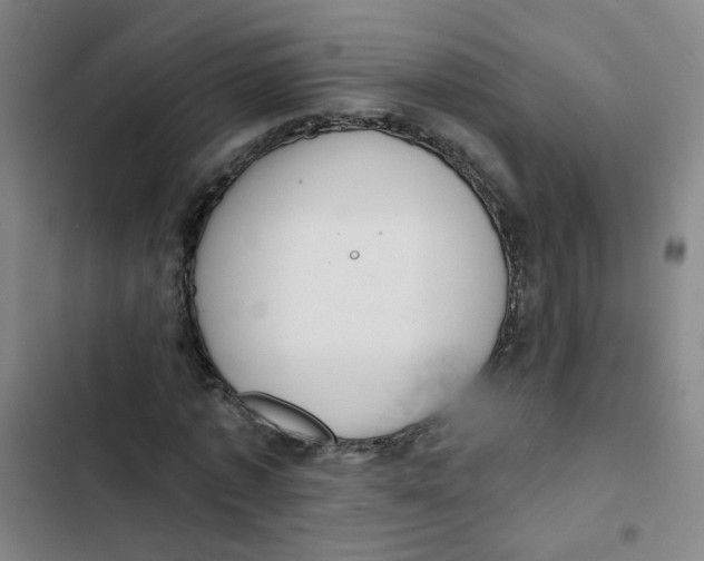X0000102830773200809151039