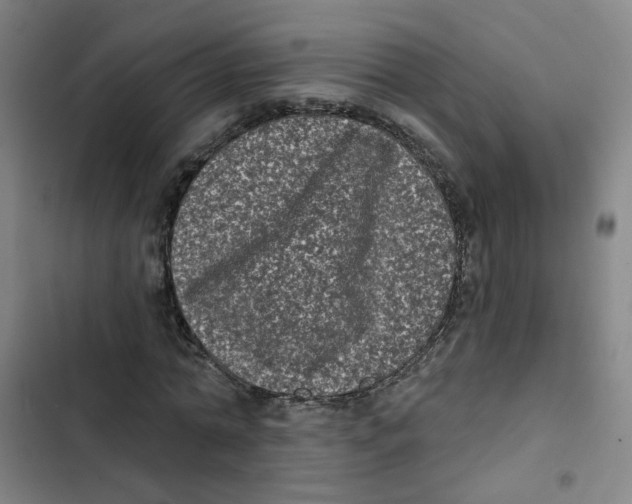 X0000102830774200809151039