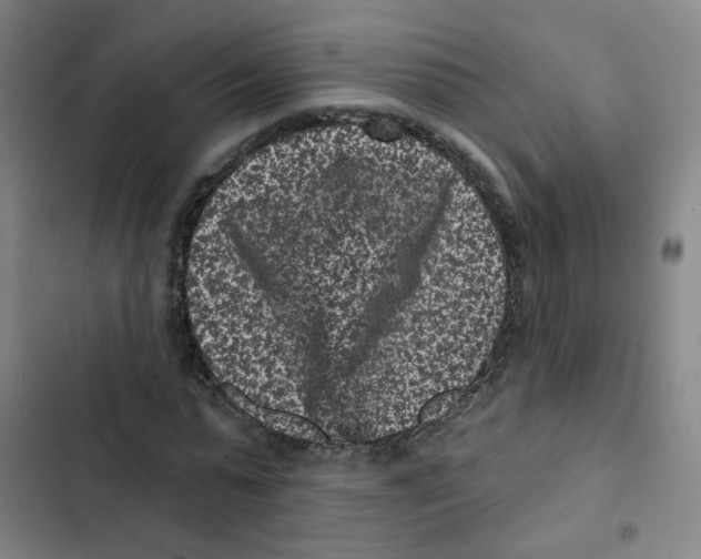 X0000102830775200809151039