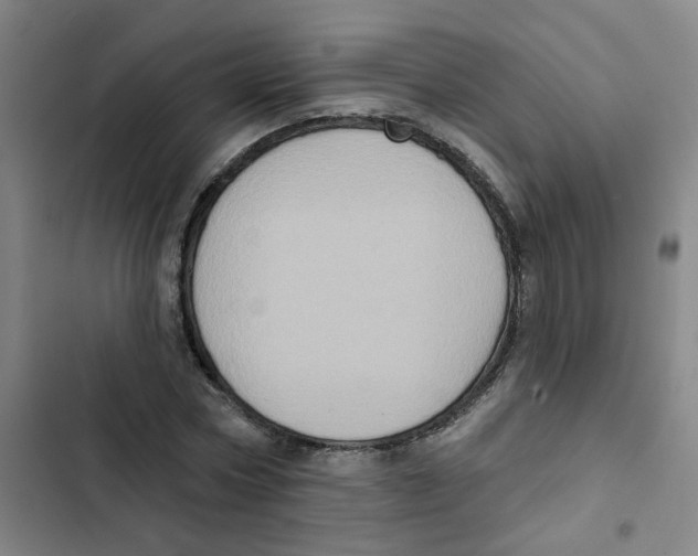 X0000102830778200809151038