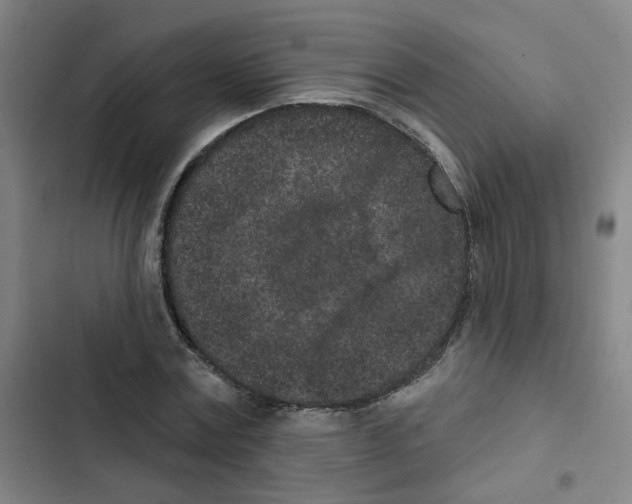 X0000102830779200809151038