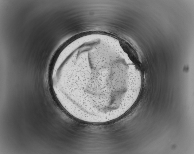 X0000102830780200809151038