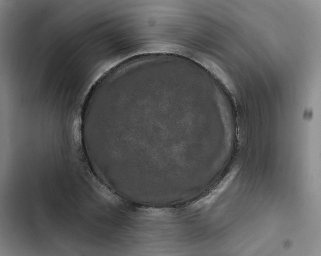 X0000102830781200809151038