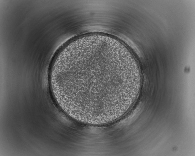 X0000102830782200809151038