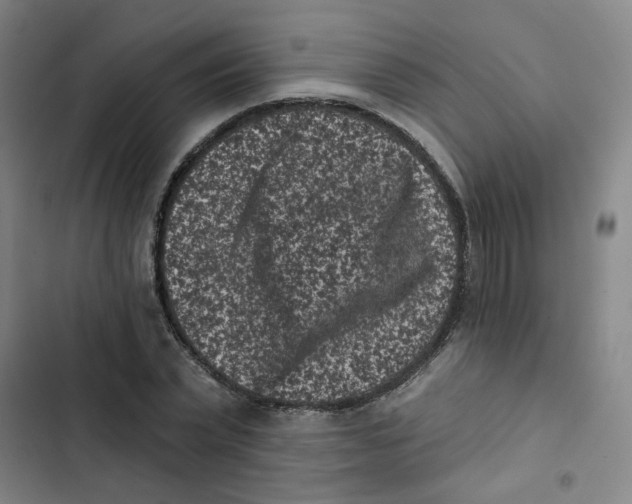 X0000102830783200809151038