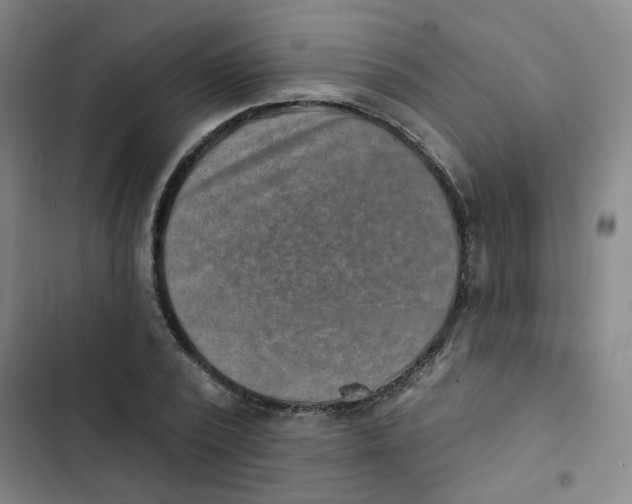 X0000102830784200809151038