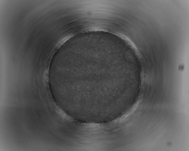 X0000102830785200809151038