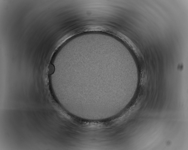 X0000102830786200809151038