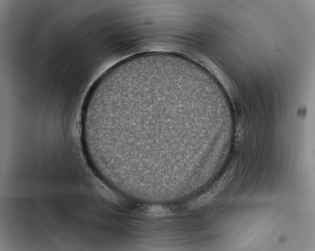 X0000102830787200809151038