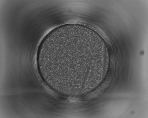 X0000102830788200809151038