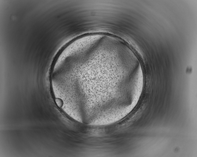 X0000102830789200809151038
