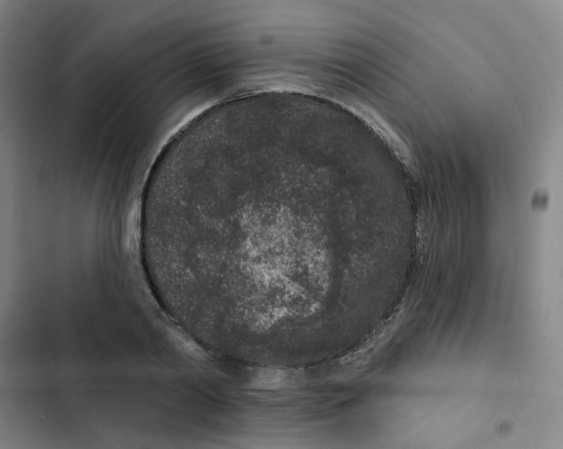 X0000102830790200809151038