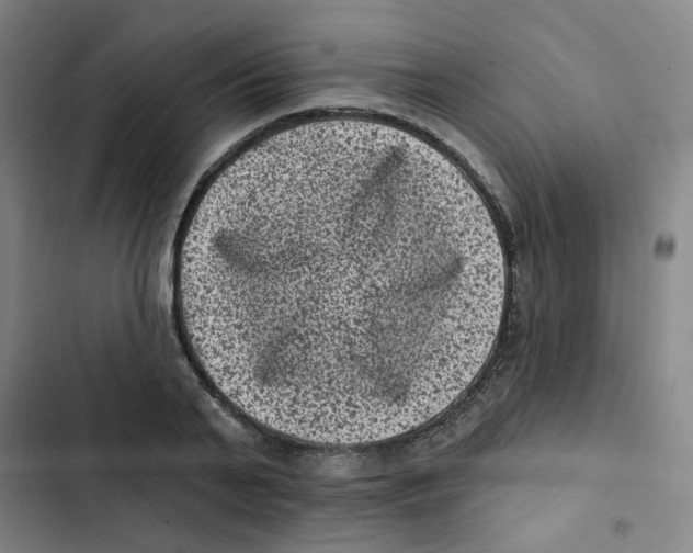 X0000102830791200809151038