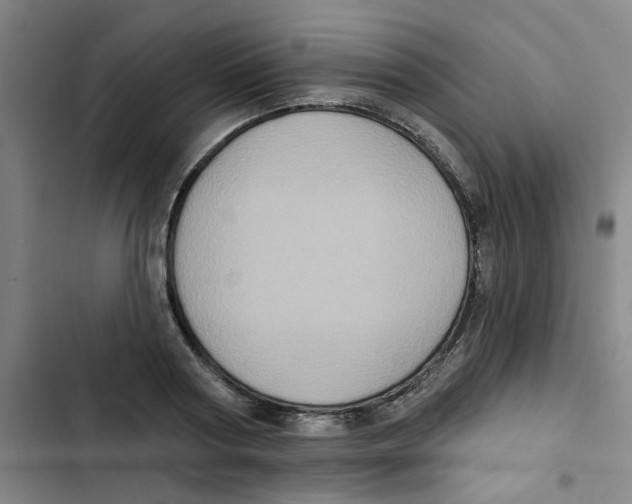 X0000102830794200809151038