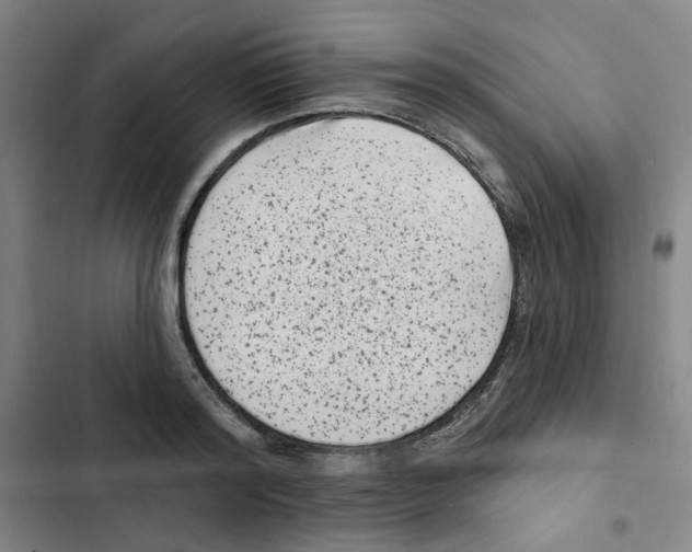 X0000102830796200809151038