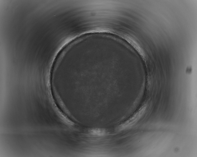 X0000102830797200809151038
