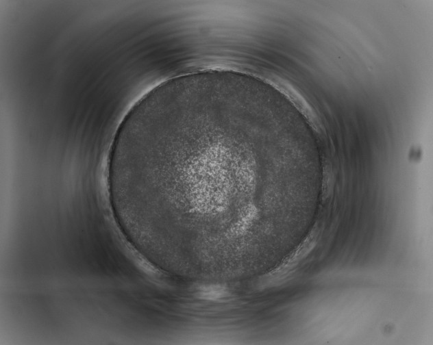 X0000102830798200809151038