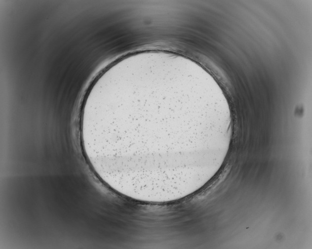 X0000102830800200809151038