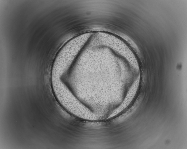 X0000102830801200809151038