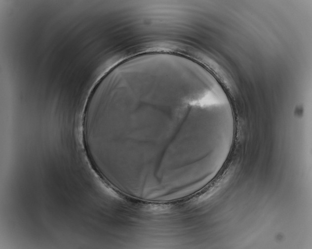 X0000102830802200809151038