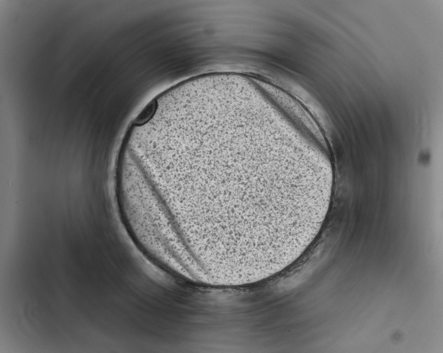 X0000102830803200809151038