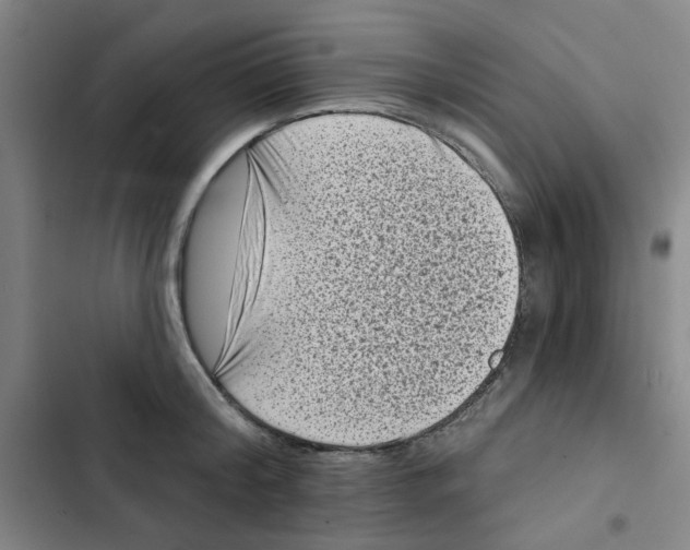 X0000102830804200809151038