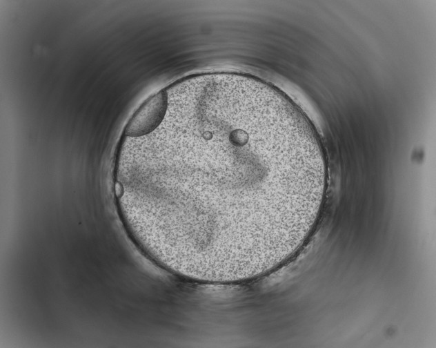 X0000102830805200809151038