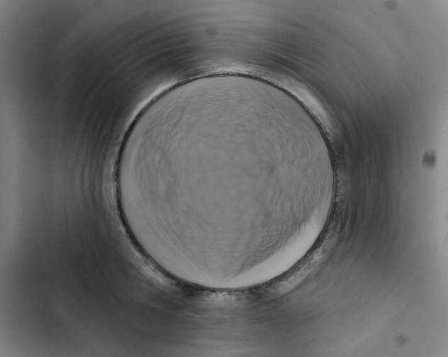 X0000102830806200809151038