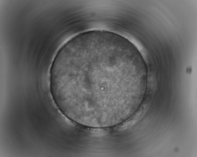 X0000102830807200809151038