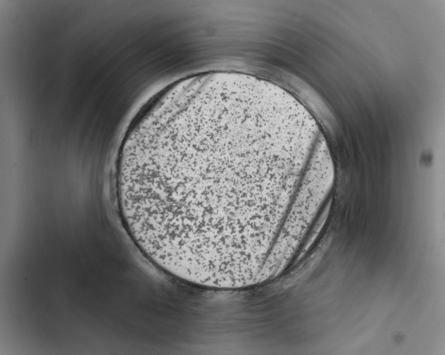 X0000102830808200809151038